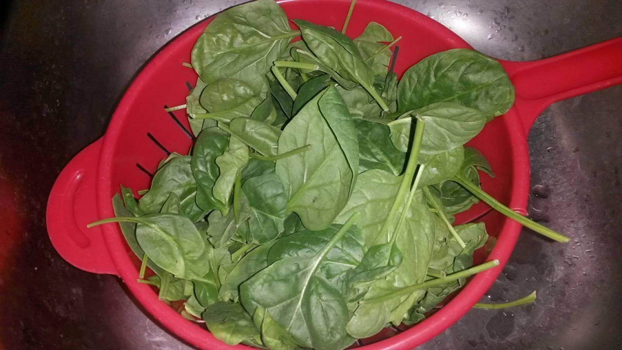 Špenátové pesto
