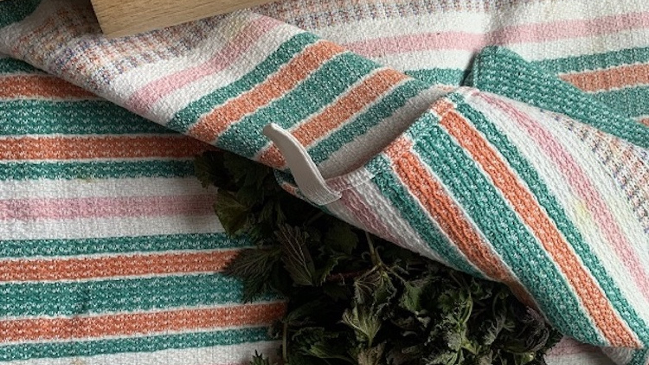 Žihľavová polievka