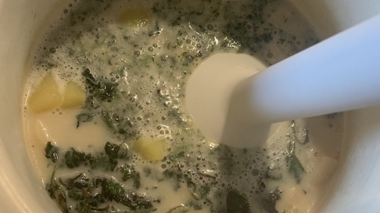 Žihľavová polievka