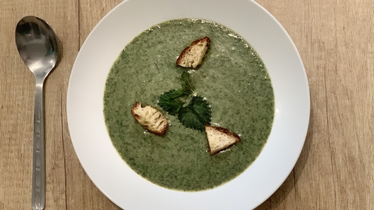 Žihľavová polievka