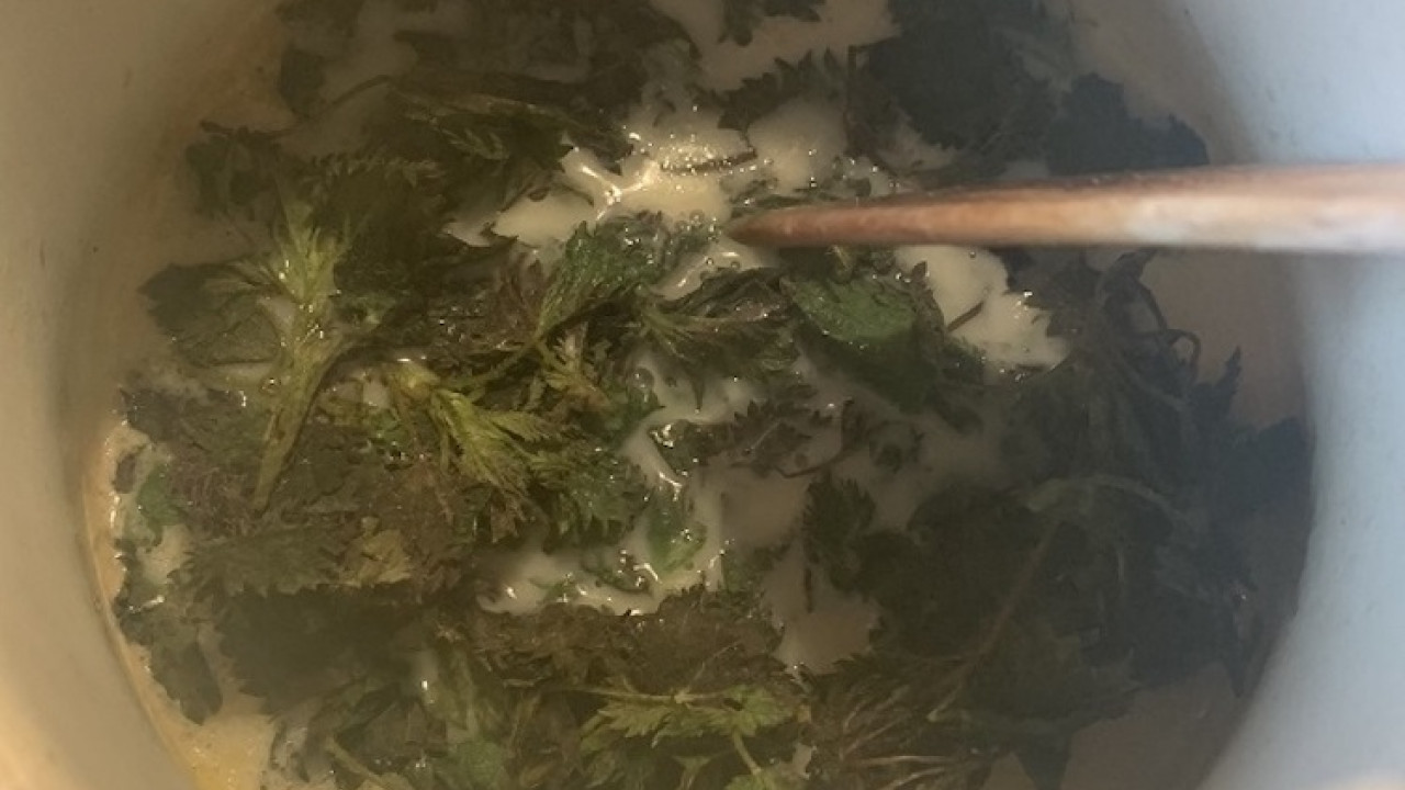 Žihľavová polievka