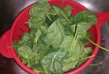 Špenátové pesto