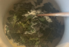 Žihľavová polievka