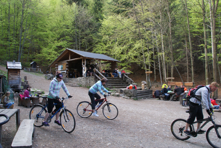 V Česku majú svetový unikát. V lesnom bare sa platí dobrovoľne