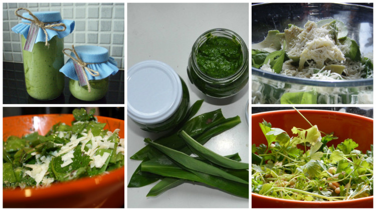 12 nápadov na domáce pesto: Recepty z medvedieho cesnaku, húb, olív i vňate