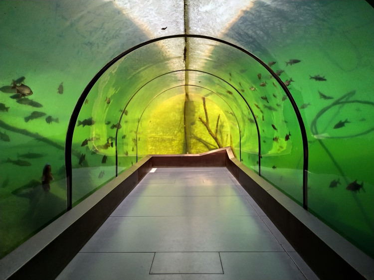 Tip na unikátny výlet: Najväčší sladkovodný tunel v Európe, archeoskanzen či jediná kovozoo