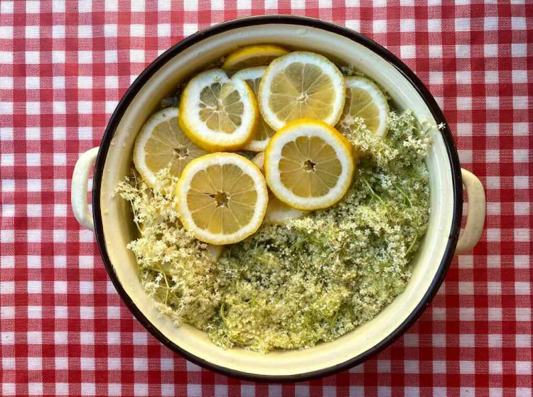 Nevarený bazový sirup, naozaj jednoduchý recept