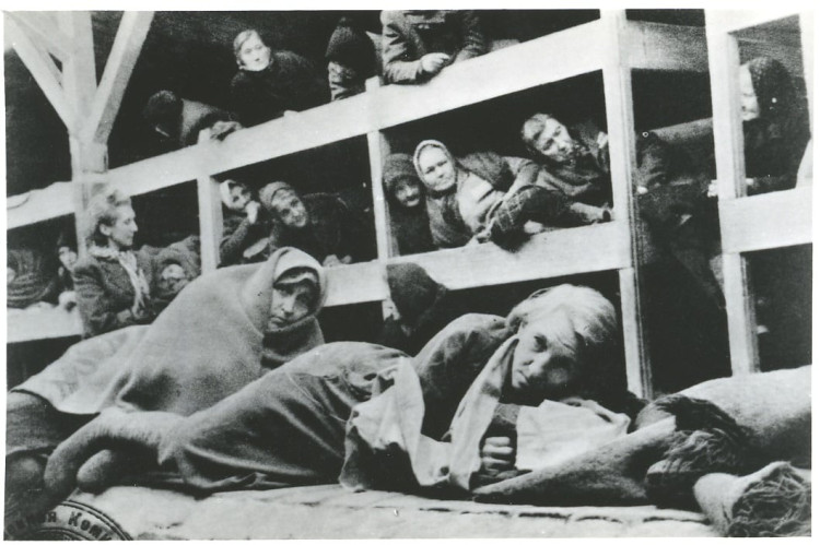 Auschwitz-Birkenau bolo peklo pre ženy. Potkany tam boli veľké ako mačky